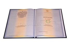 Диплом о высшем образовании с 2010 по 2011 годы